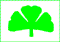 Kleeblatt grün
